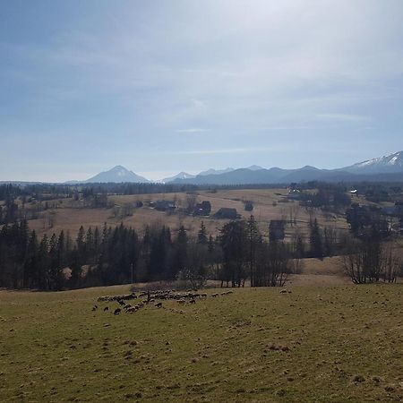 Villa Dorota Zakopane Bagian luar foto