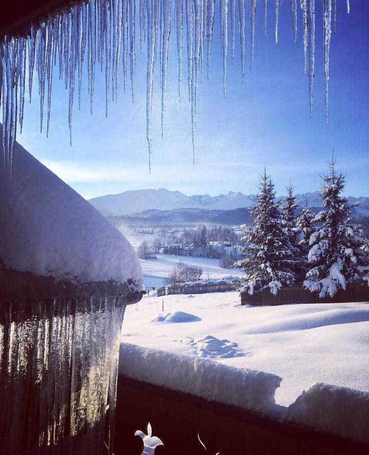 Villa Dorota Zakopane Bagian luar foto