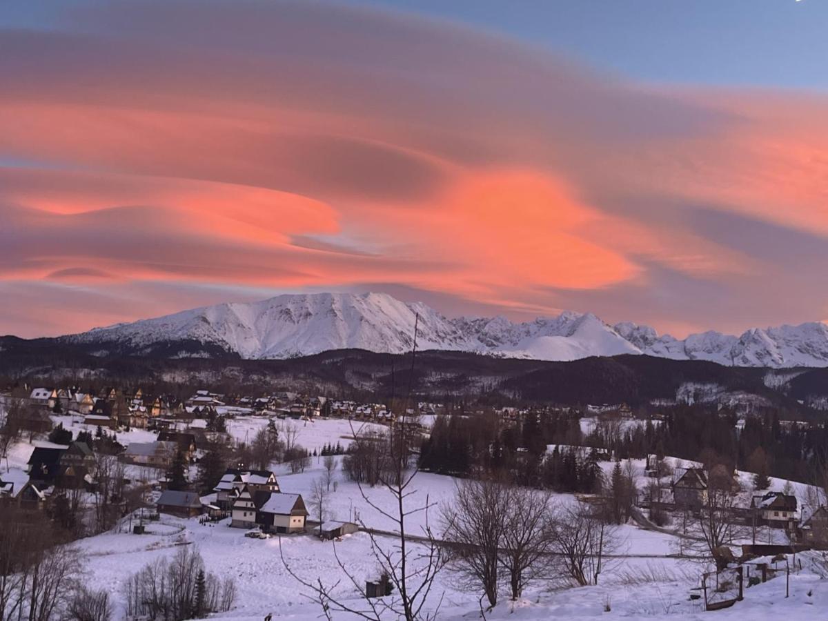 Villa Dorota Zakopane Bagian luar foto