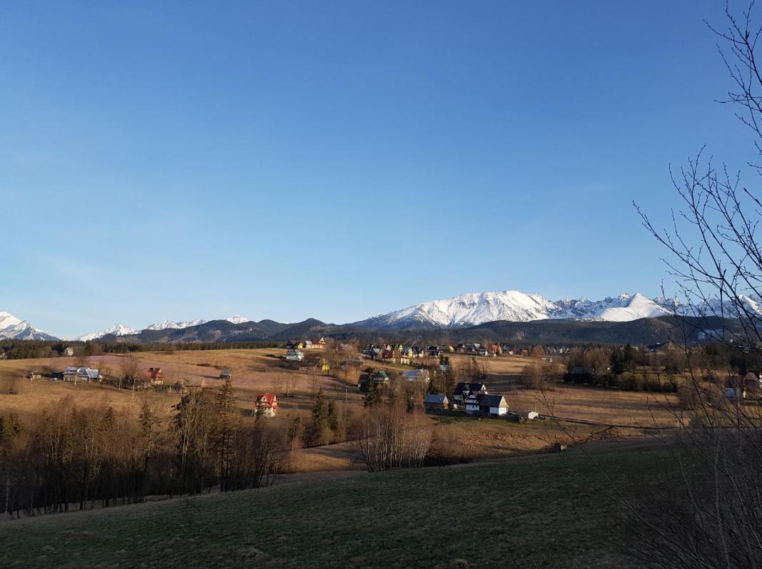 Villa Dorota Zakopane Bagian luar foto