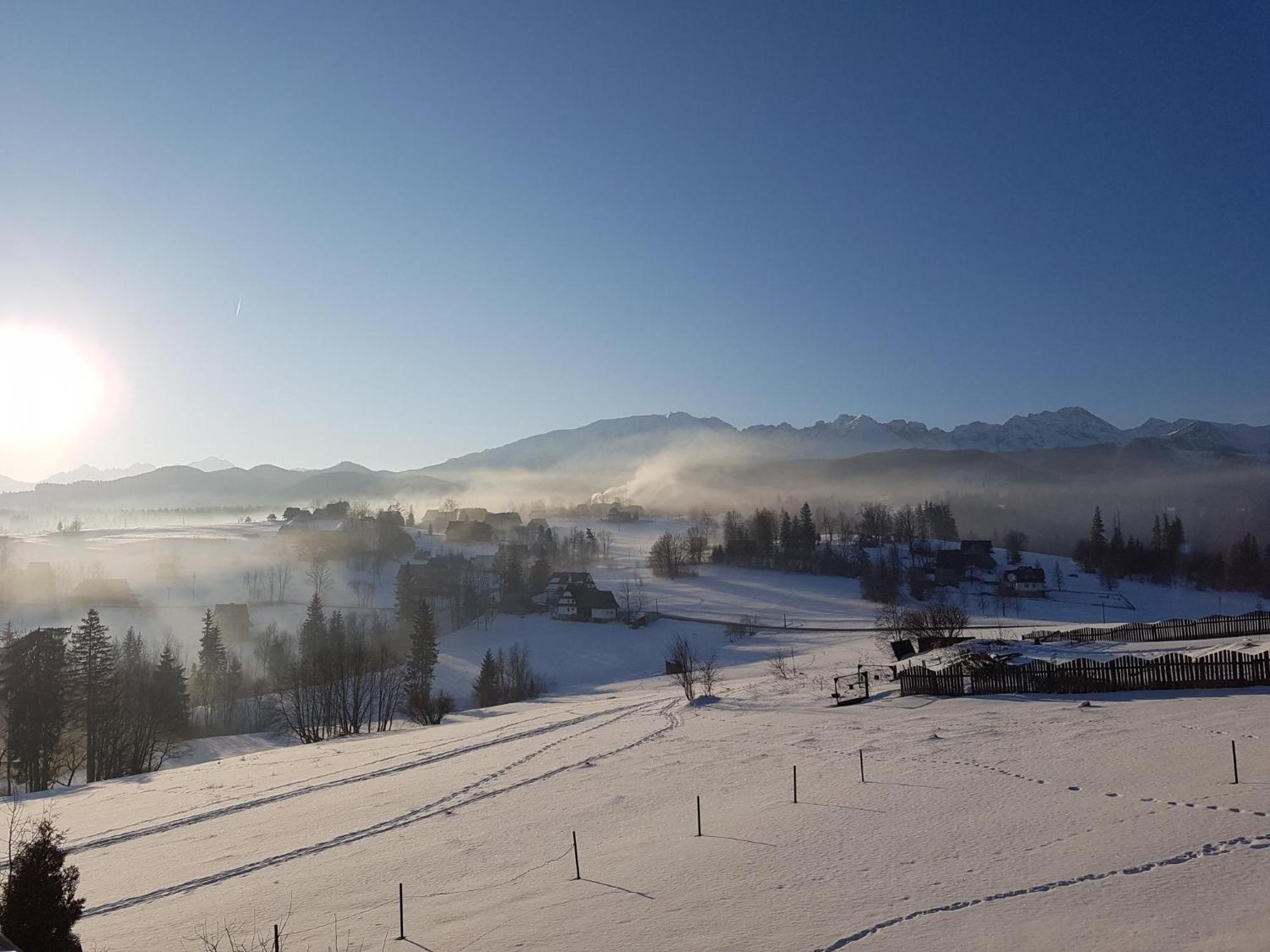 Villa Dorota Zakopane Bagian luar foto